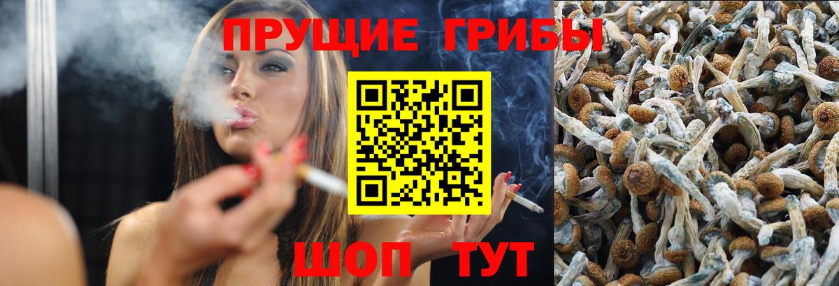 Псилоцибиновые грибы Psilocybine cubensis  Вход с VPN  Ярославль 